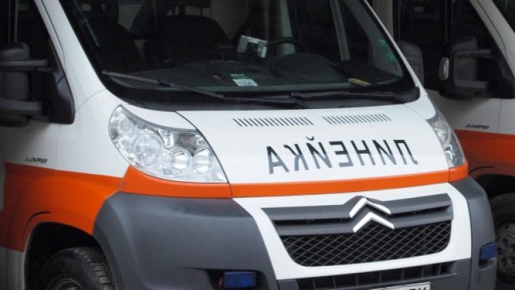 Снимка: Булфото