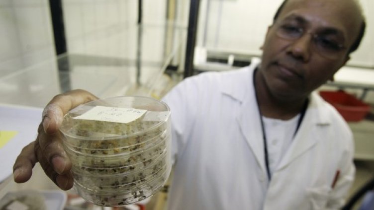 1,2,3... 4. Снимка: Reuters