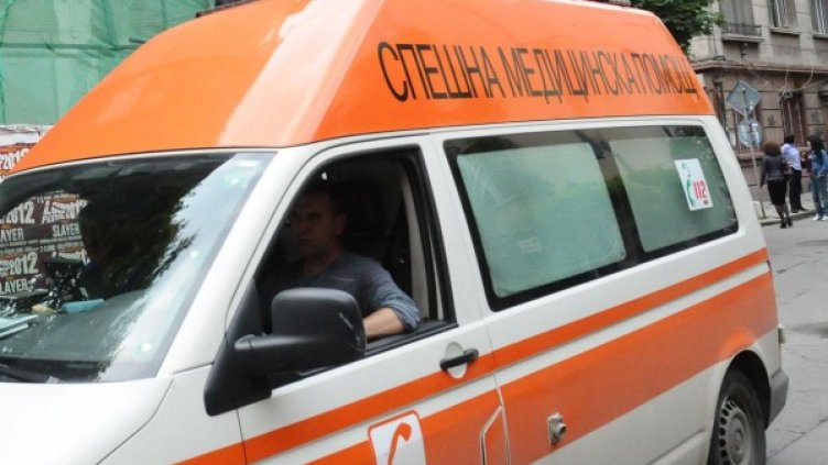 Снимка: Архив Булфото