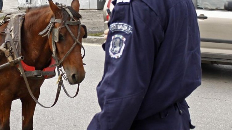 Снимка: архив, Булфото
