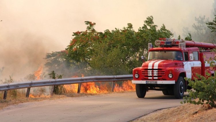 60% от горските пожари пламват заради небрежност. Снимка: Булфото