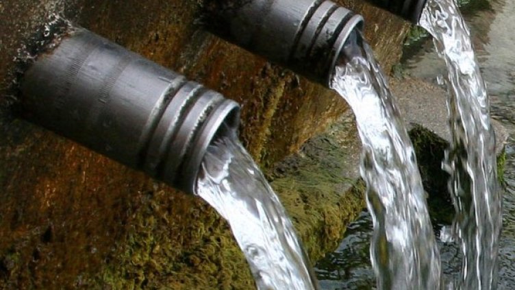 Снимка: Impact Press Group