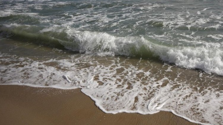 Снимка: архив Булфото