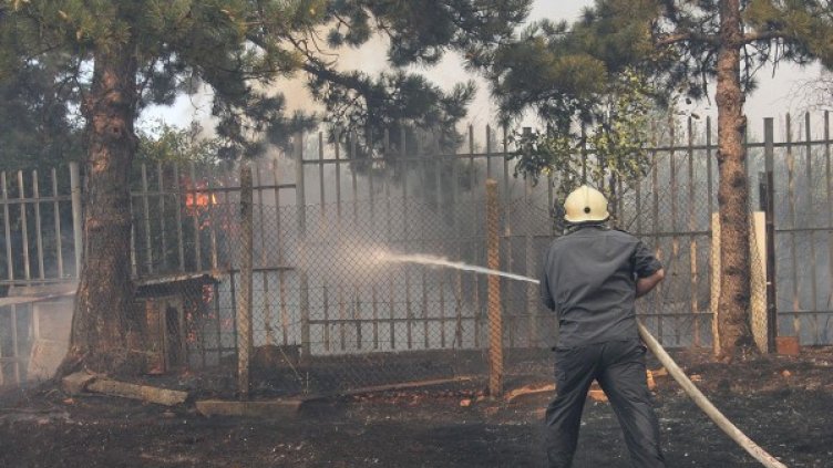 Снимка: архив Булфото