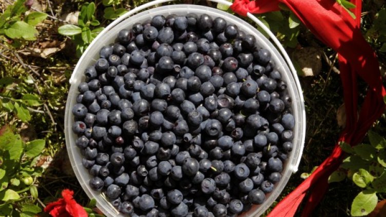 Снимка: архив, Reuters