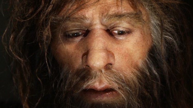 Прачовекът е използвал билки още преди 50 хиляди години. Снимка: Reuters