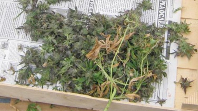 Снимка: Архив Булфото