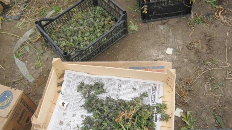 Наркотикът е иззет. Снимка: архив Булфото