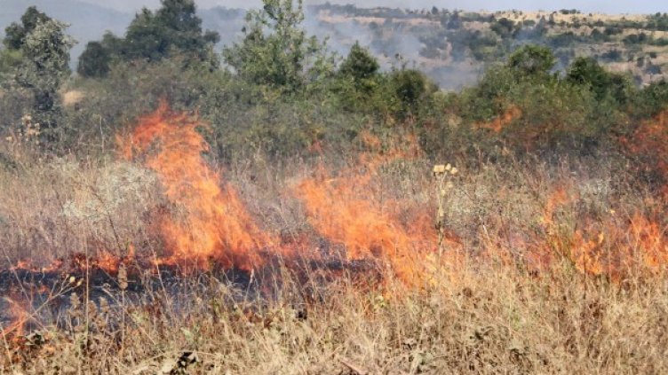 Снимка: Impact Press Group