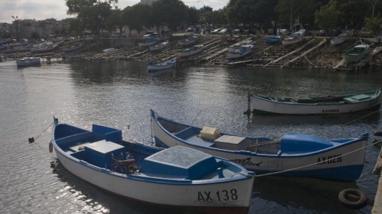 Снимка: архив Булфото