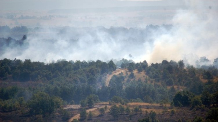 Пожарът е локализиран. Снимка: БТА