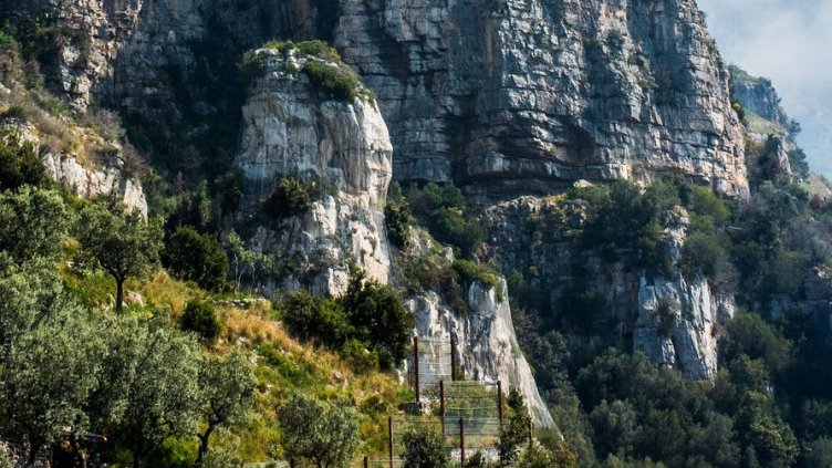 Снимка на Anemone123 от Pixabay