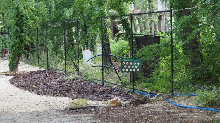 БГНЕС