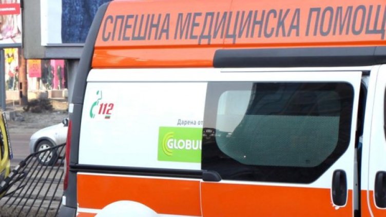 Снимка: Архив Булфото