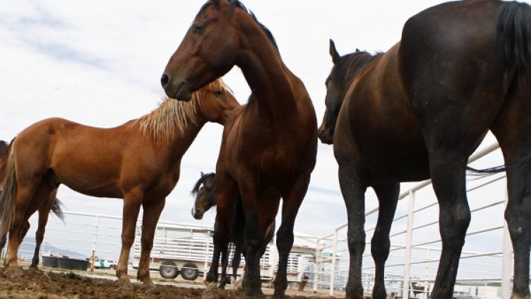 Стнимка: Reuters