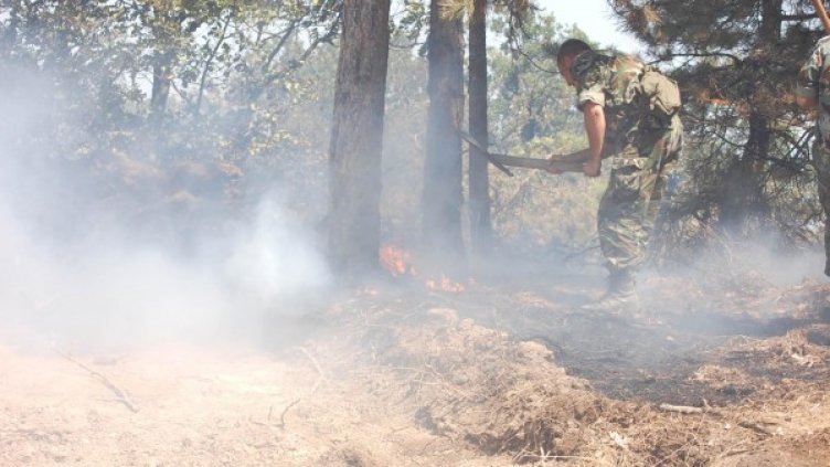 Огънят е тръгнал между селата Брягово и Родопи. Снимка: Булфото