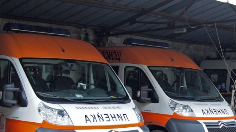 Снимка: Архив Булфото