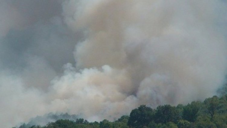 Снимка: Dnes.bg