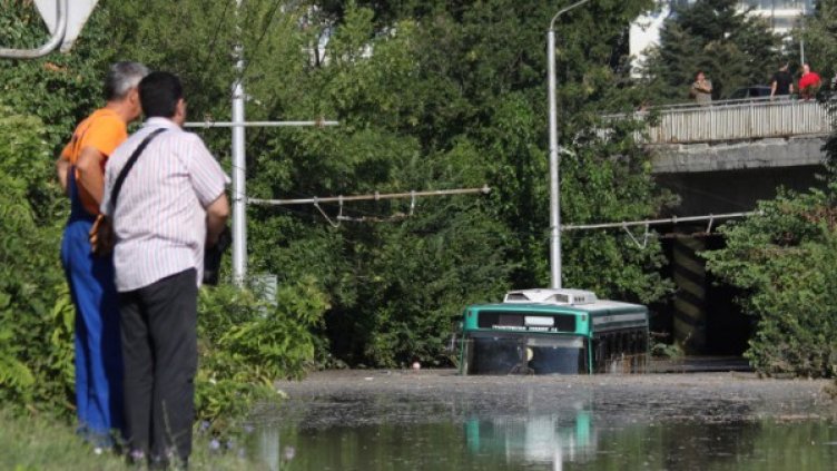 Снимка: Булфото