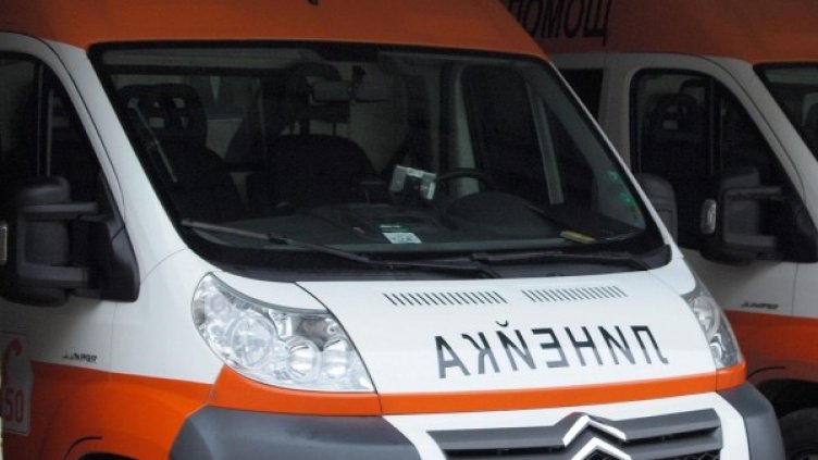 Снимка: Булфото