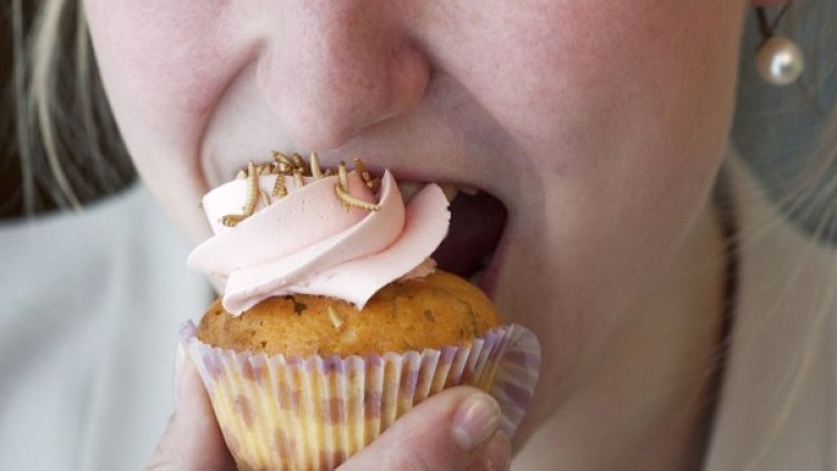 Кексчето с ларви изглежда гадно, но ще бъде сред храните на бъдещето. Снимка: Reuters