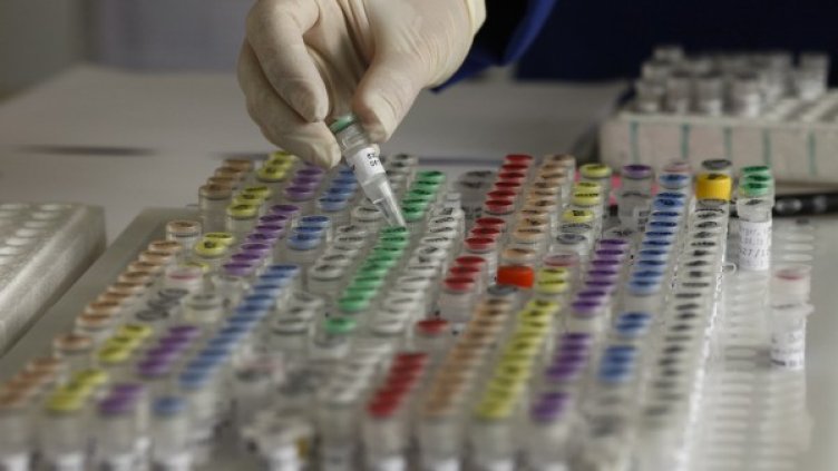 В Русия бизнесът със стволови клетки, произведени от човешки плодове, е забранен. Снимка: архив, Reuters