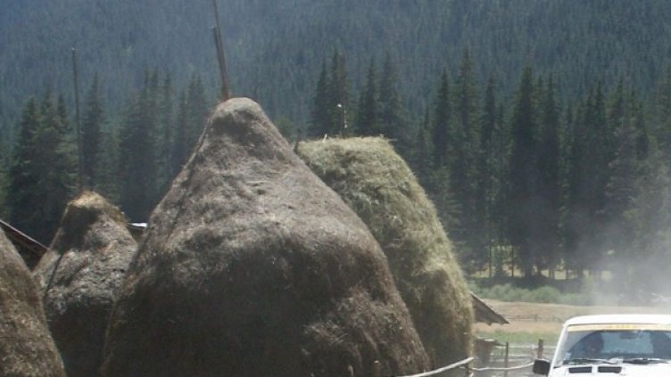 Снимка: Булфото