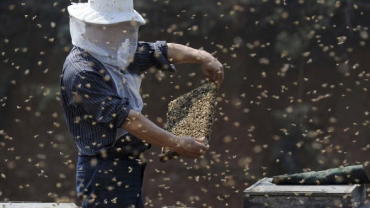 Снимка: архив, Reuters