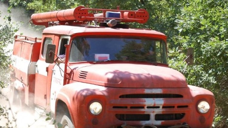 Горят 500 дка суха трева и 200 дка широколистна гора. Снимка: архив, Булфото