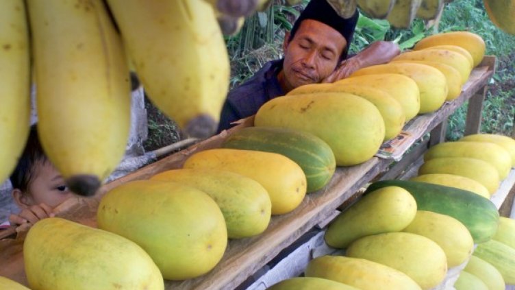 Със спане може да се спечели златен медал единствено в шампионата по мързелуване. Снимка: Reuters