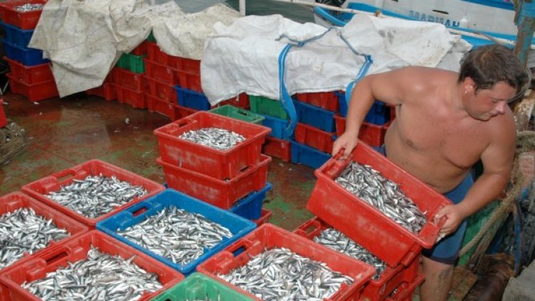 От Китай внасяме риба, но не и цаца. Снимка: Булфото