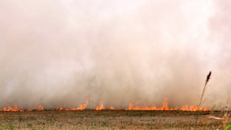 От МВР призовават да се спазват правилата за пожарна безопасност. Снимка: архив, БТА