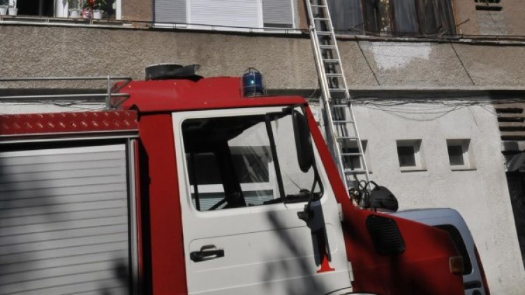 Снимка: Архив Булфото