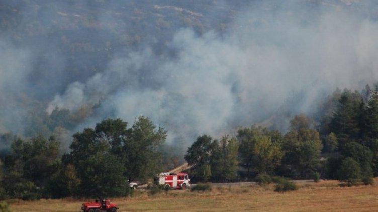 Снимка: архив Булфото