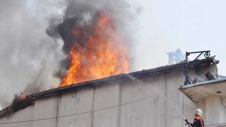 Снимка: Архив Булфото