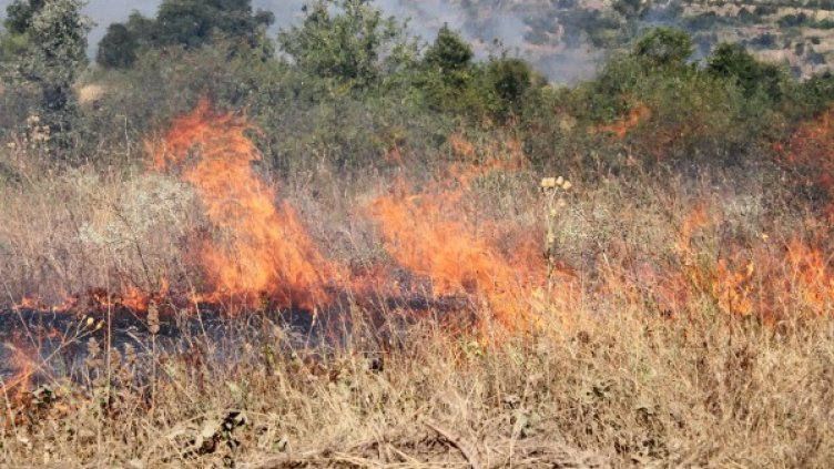 Снимка: Impact Press Group