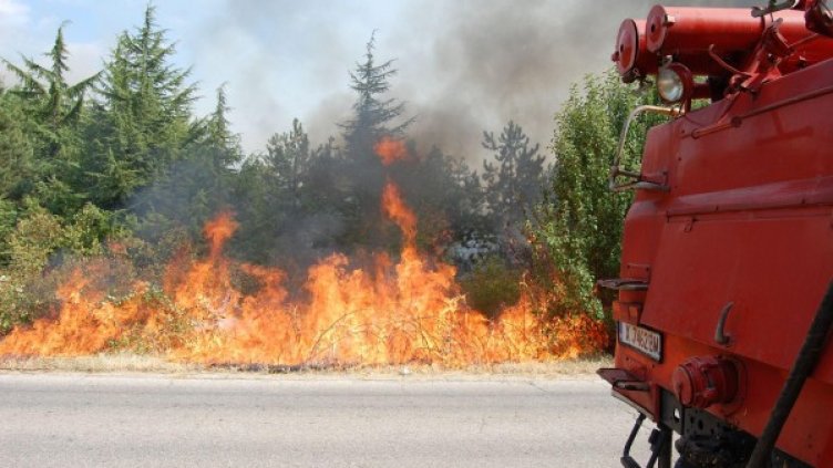 Снимка: Булфото