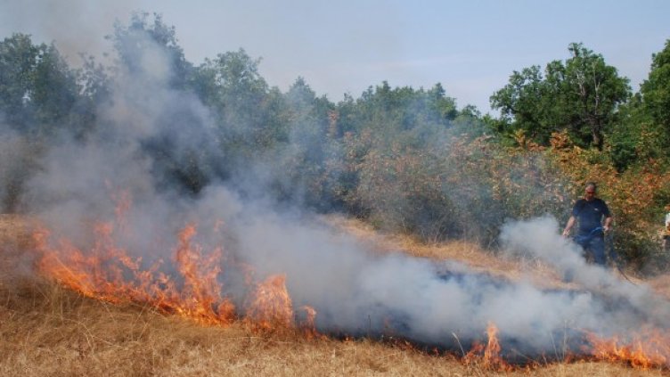 Военните идват на помощ за пожара край село Динево.Снимка: БТА