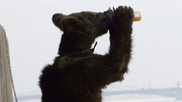 Приятелството между хората и мечките вече се скрепява с бира. Снимка: Reuters