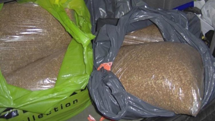 Снимка: Булфото