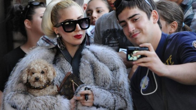 Лейди Гага едва ли е толкова зиморничава. Снимка: Булфото