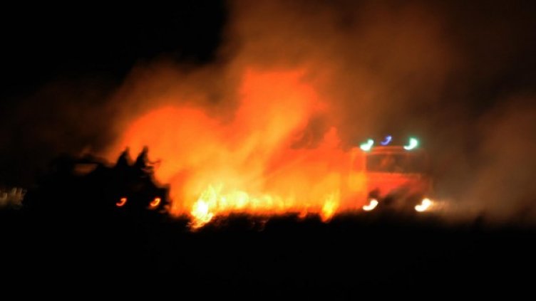 Снимка: Булфото