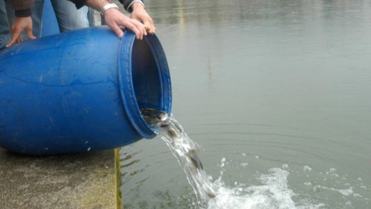 Снимка: Архив Булфото