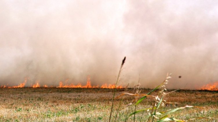 Снимка: архив, БТА