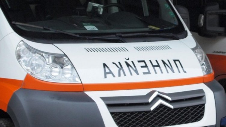 Снимка: Булфото