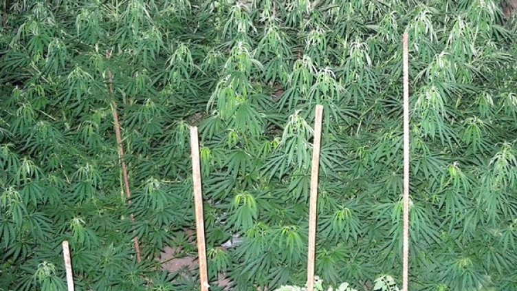 Снимка: архив, МВР