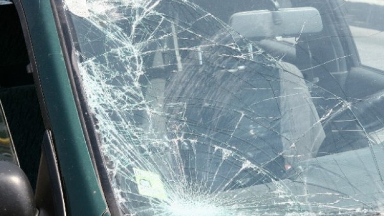 Снимка: Impact Press Group