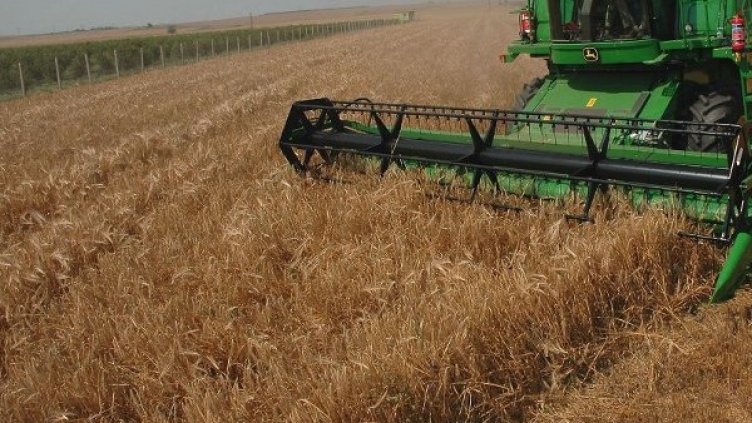 Снимка: архив, Булфото