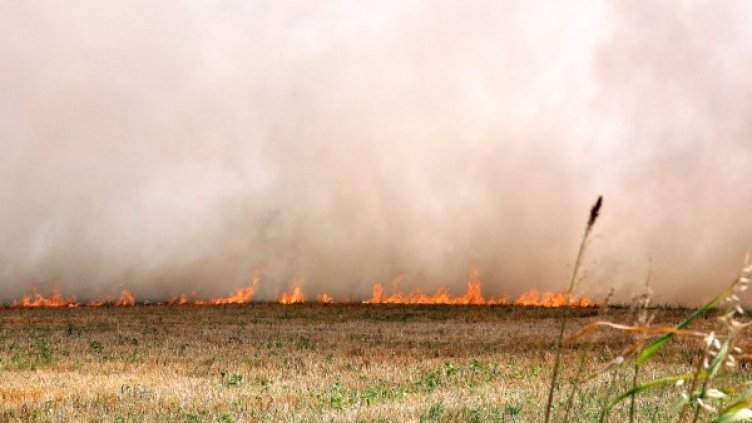 Снимка: архив, БТА