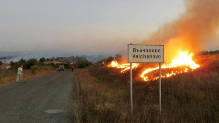 Снимка: Булфото